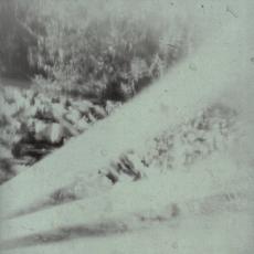 Nymphéas, tirage, sténopé, 2004.